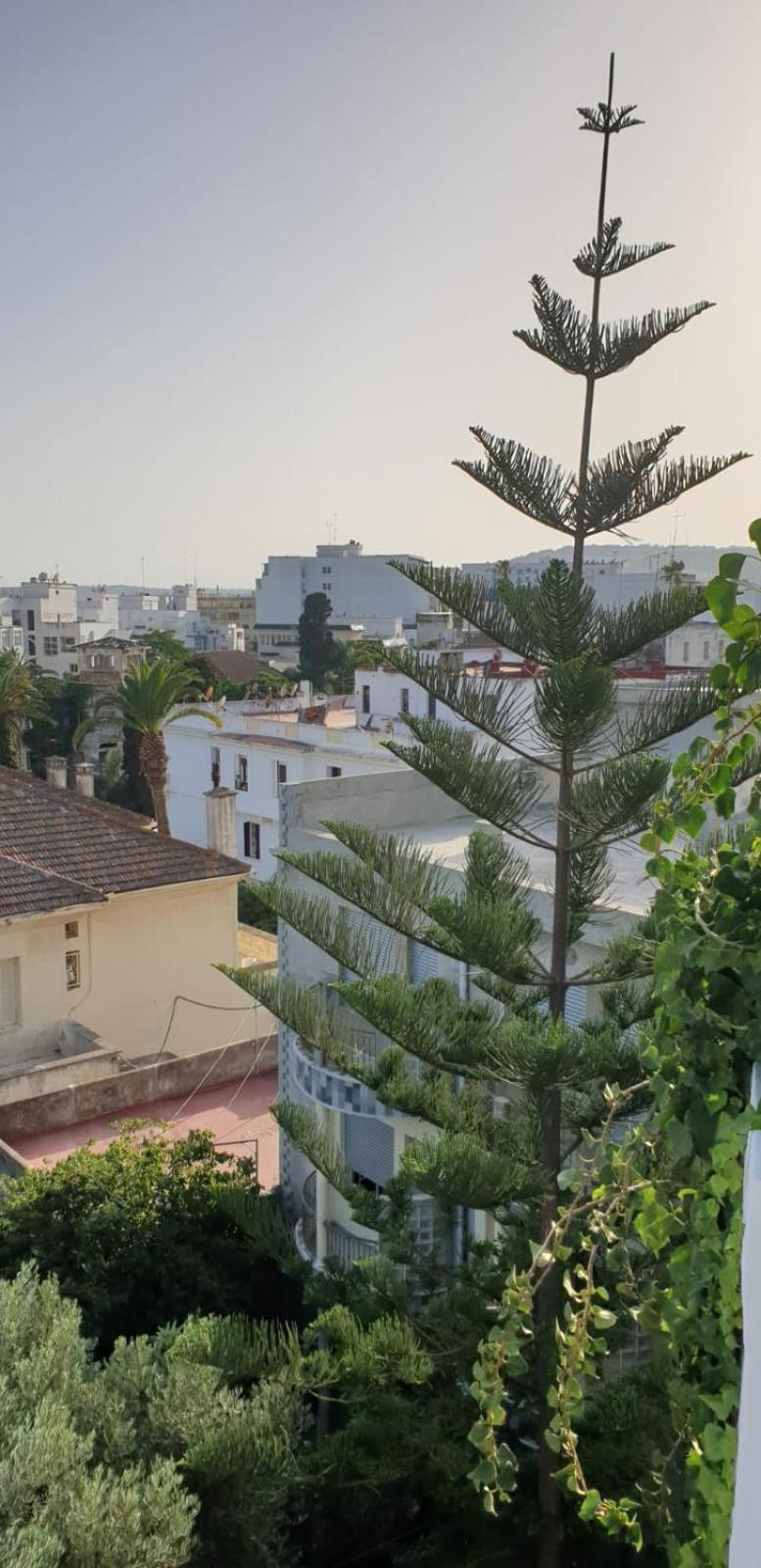 Guesthouse Kasbah Old Medina Tanger Екстериор снимка